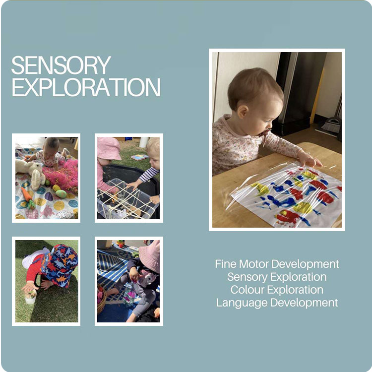 Foundations Learning Academy Green Hills, East Maitland NSW Home